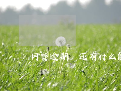 网贷逾期 还有什么能借到钱 网贷逾期 还有什么能借到钱